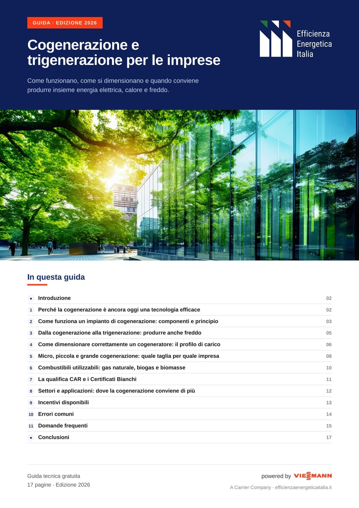 guida_cogenerazione_trigenerazione_image