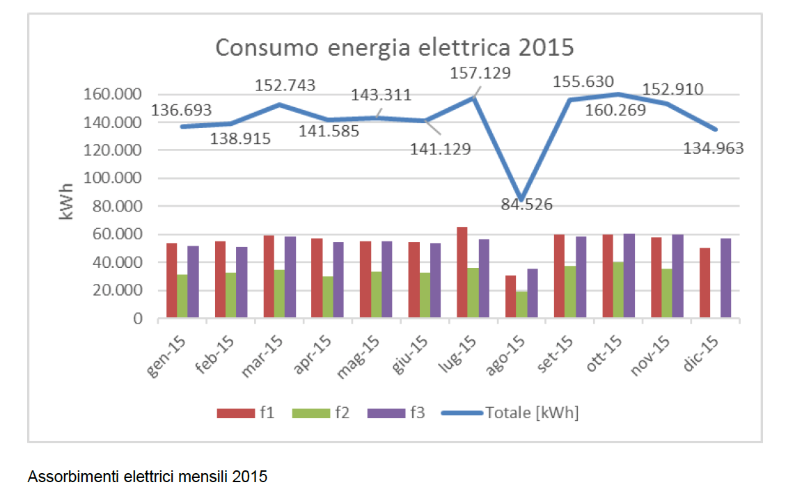 consumi-elettrici-2015