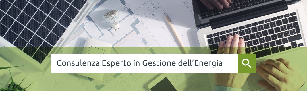 consulenza-ege.jpg